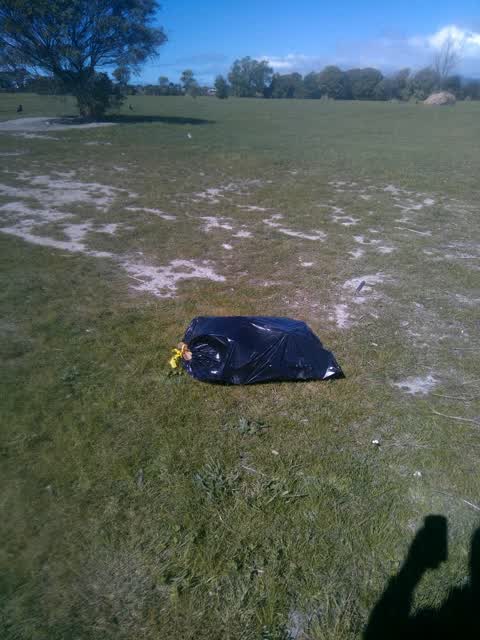 Dumped Rubbish, a report photo