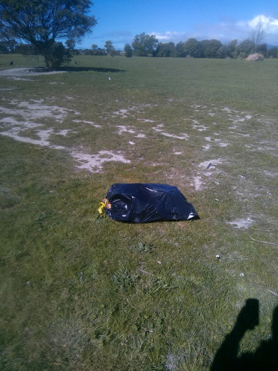 The photograph attached to this dumped rubbish report