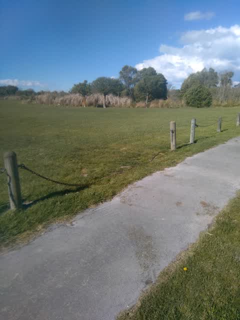 Parks, a report photo