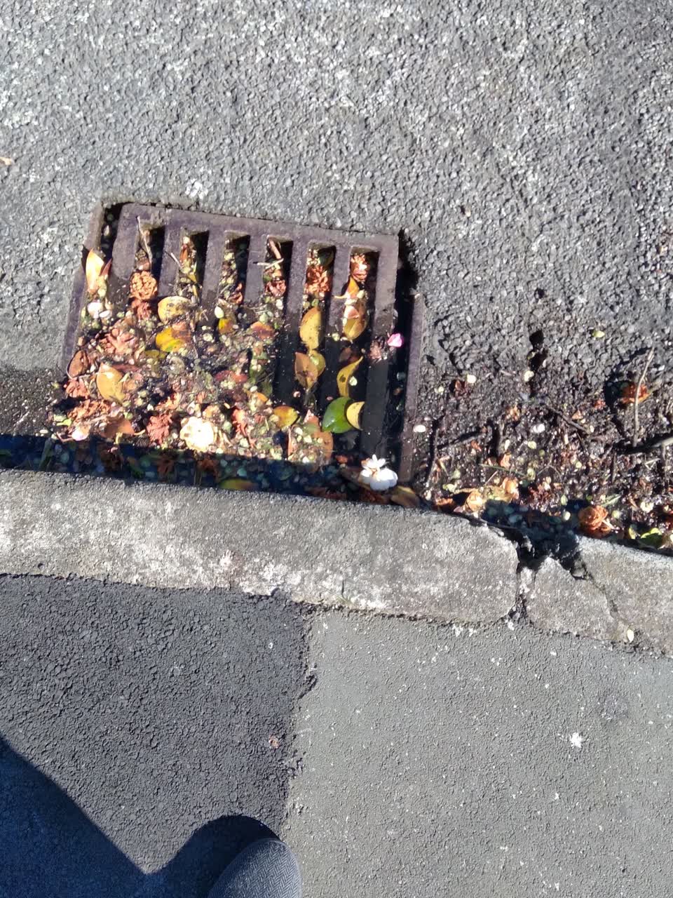 The photograph attached to this wastewater/stormwater report