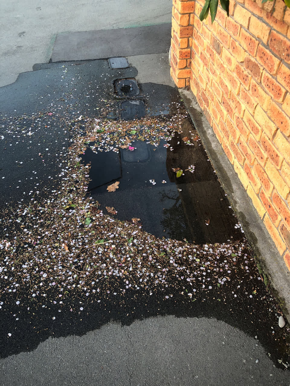 The photograph attached to this water leak report