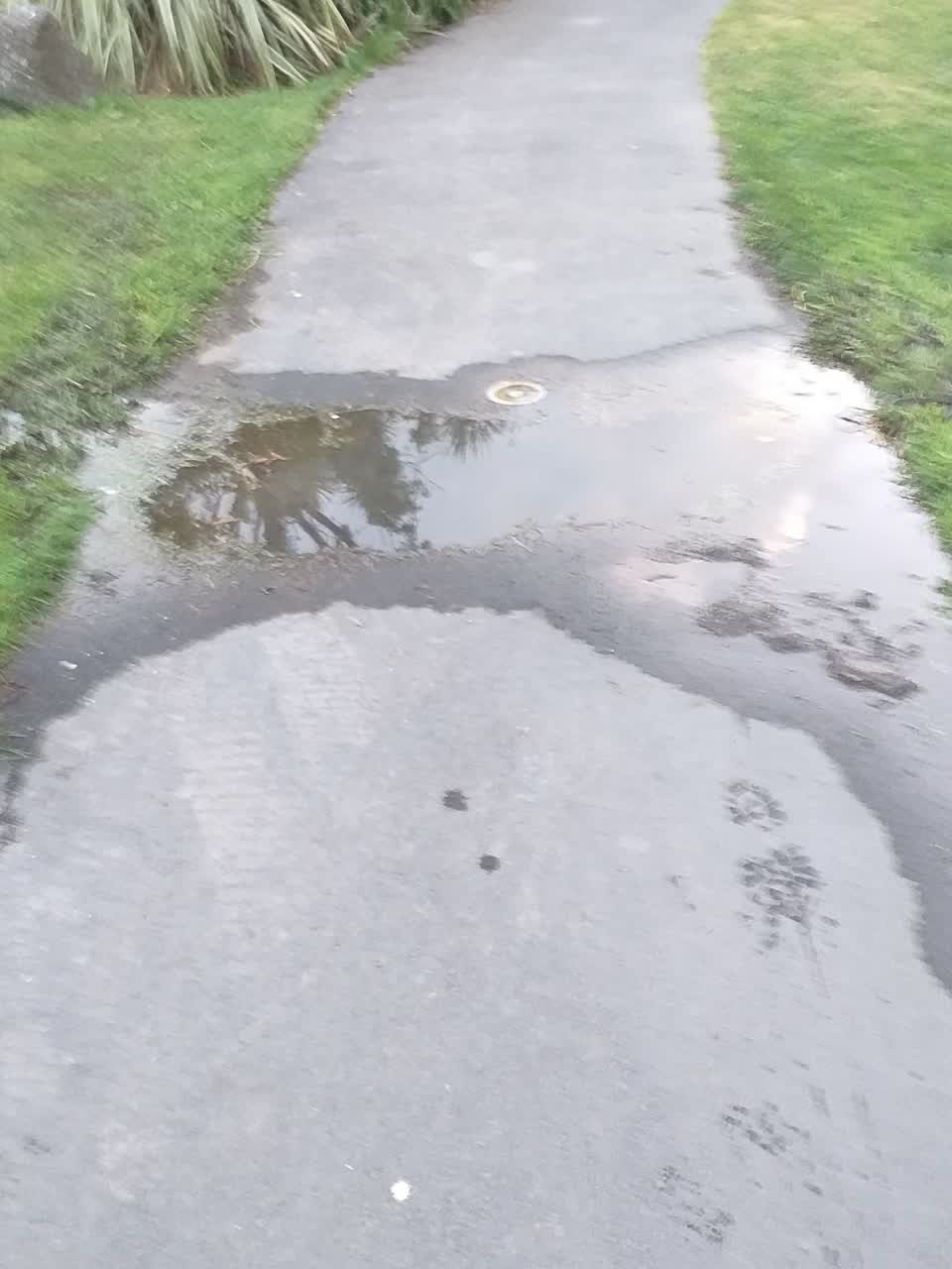 The photograph attached to this water leak report