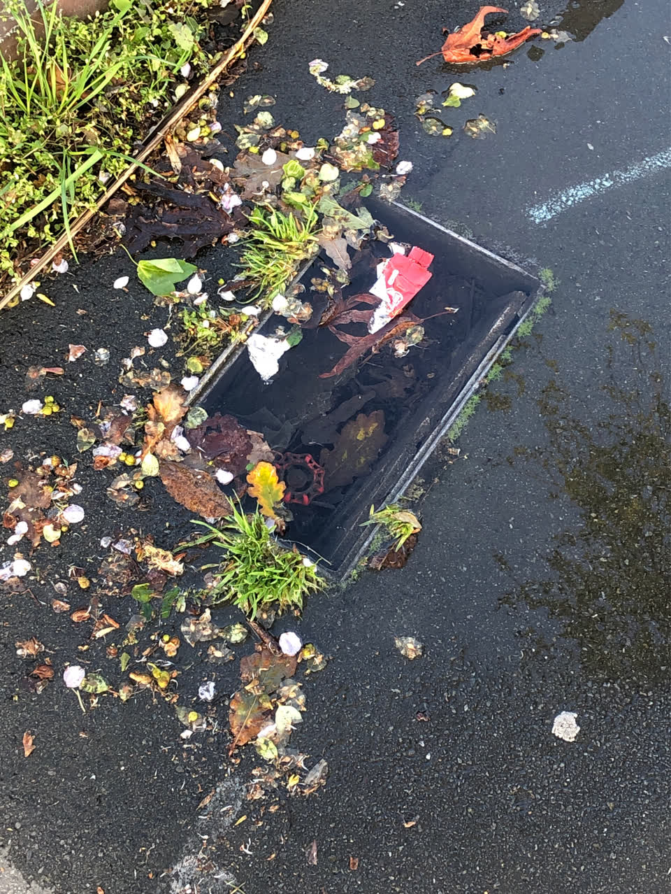 The photograph attached to this water supply report