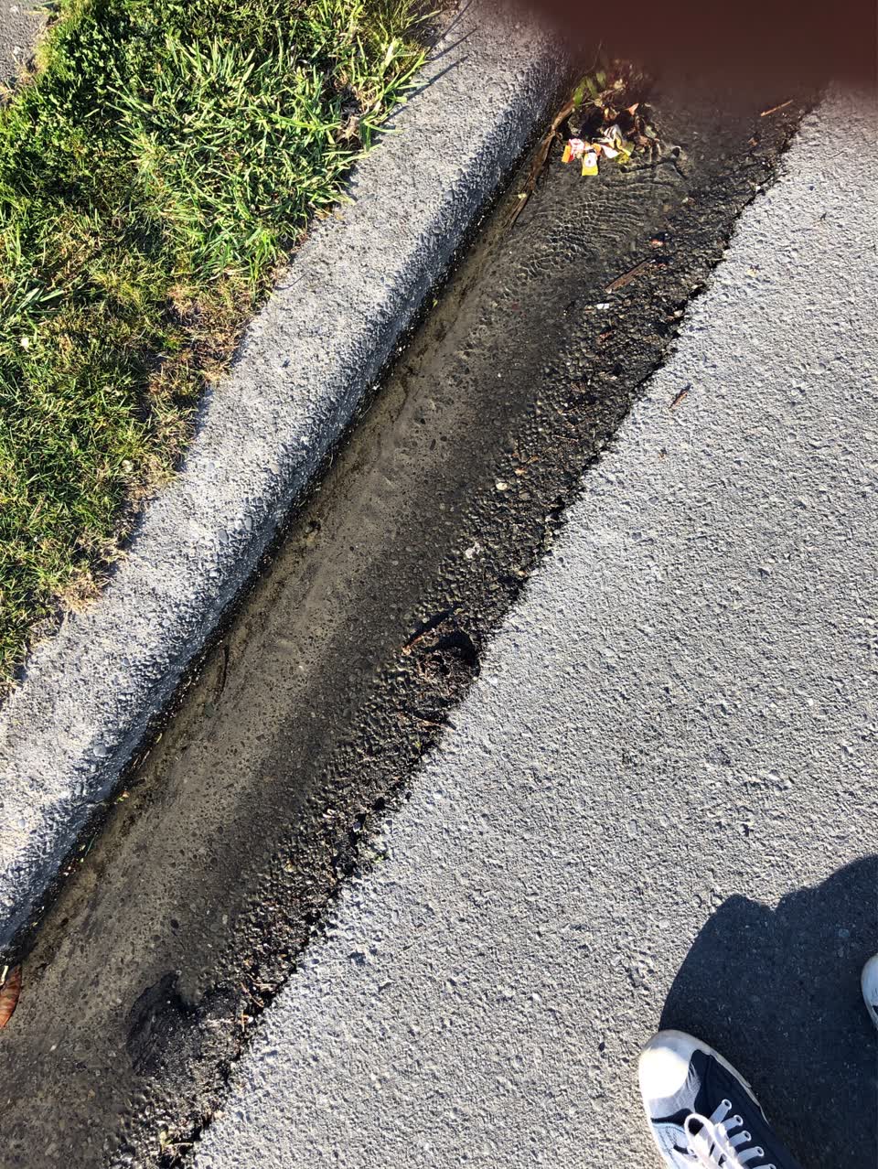 The photograph attached to this water leak report