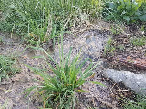 Sewer - Leak / Blockage, a report photo