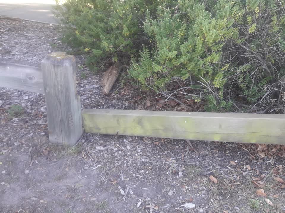 The photograph attached to this parks report