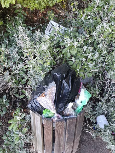 Rubbish and Bins - General, a report photo