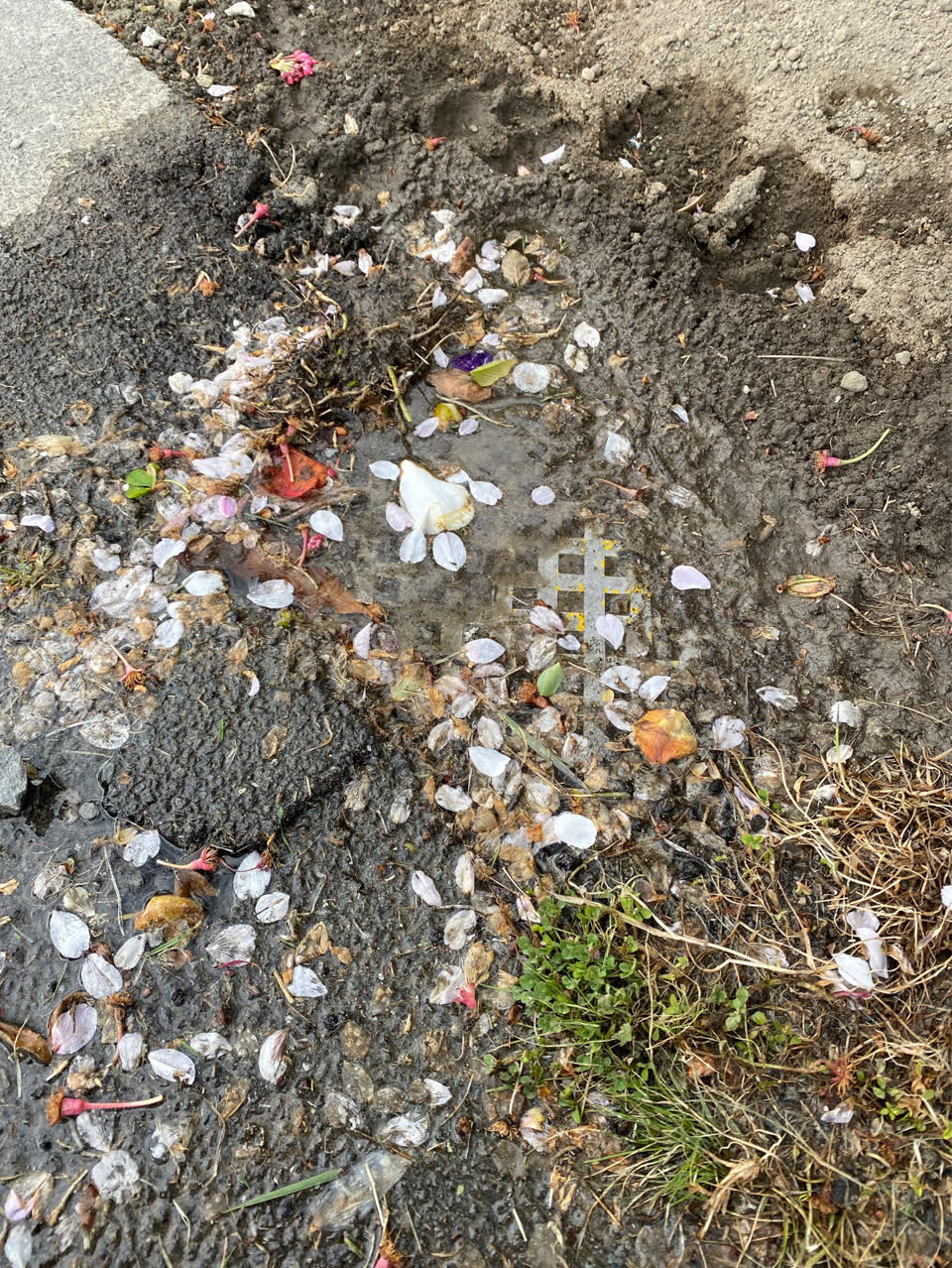 The photograph attached to this flooding report