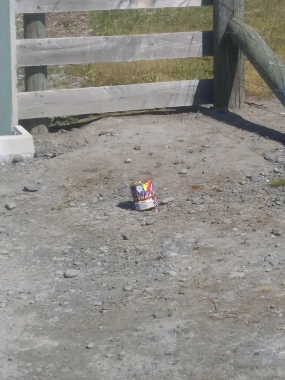 The photograph attached to this litter report