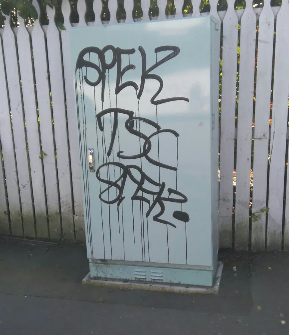 The photograph attached to this graffiti report