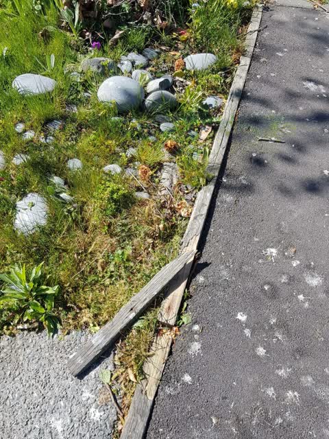 Overgrown Vegetation — a report photo