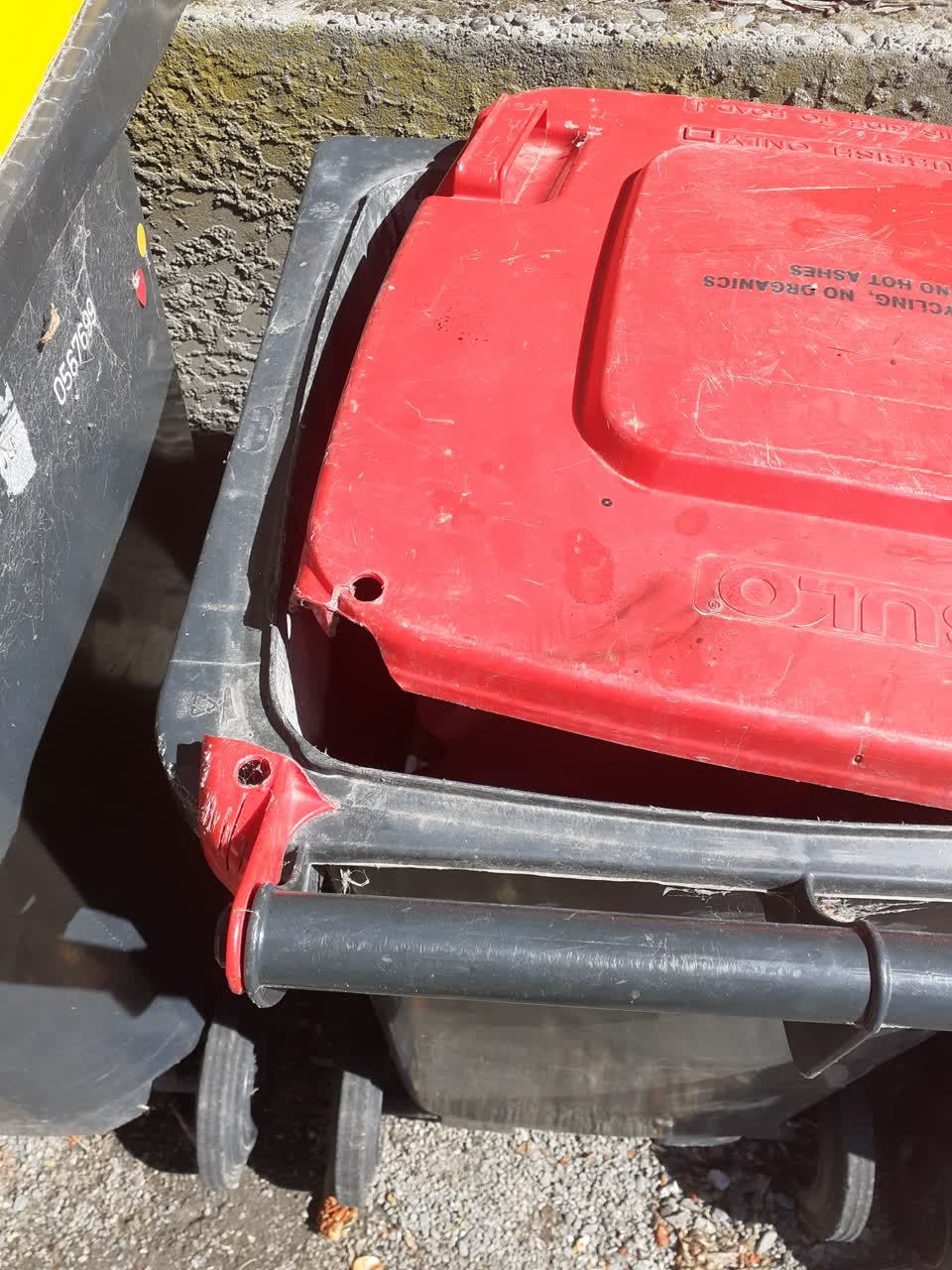 The photograph attached to this rubbish and bins - general report