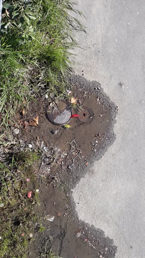 Water Leak, a report photo