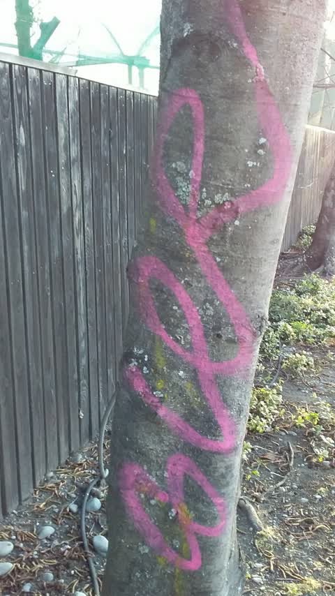 Vandalism - General, a report photo