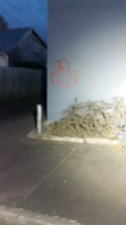 Graffiti, a report photo