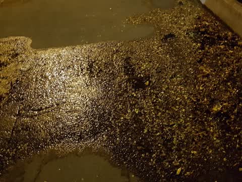 Water Leak, a report photo