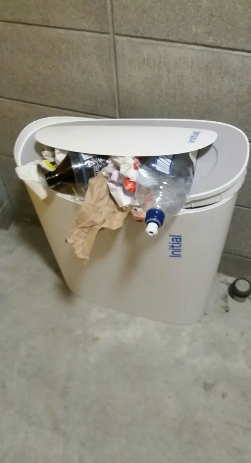The photograph attached to this rubbish and bins - general report