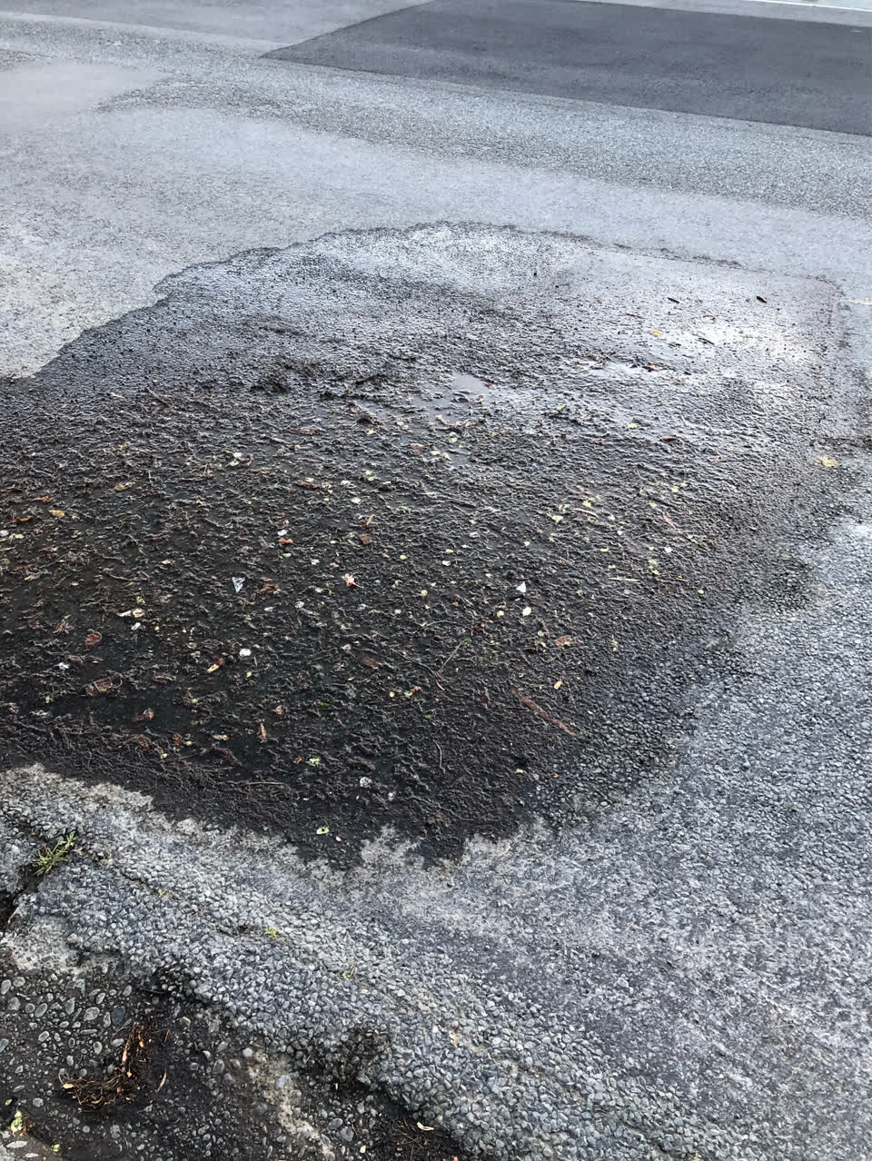 The photograph attached to this water leak report