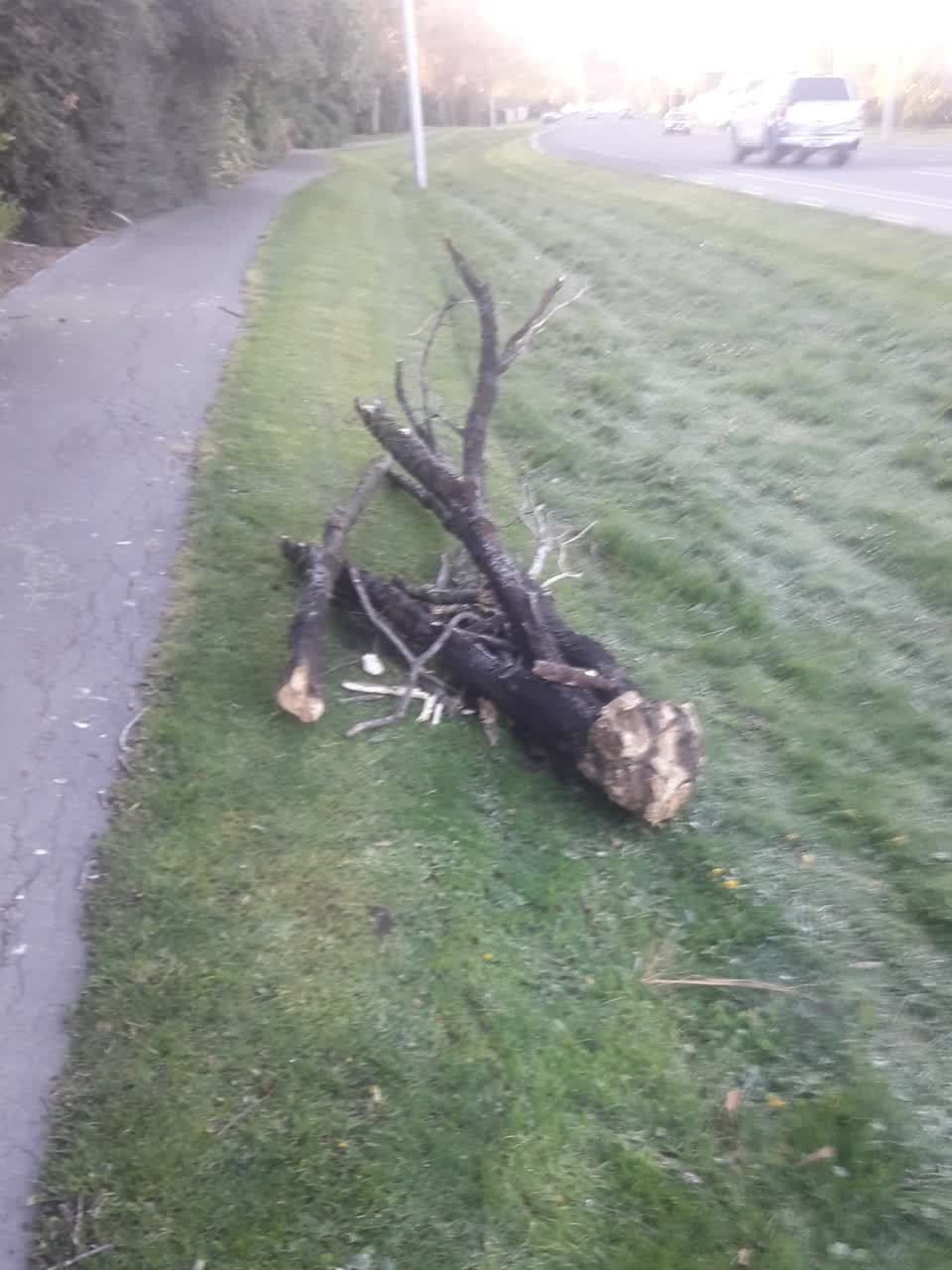 The photograph attached to this parks report