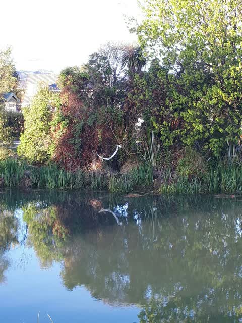 Litter, a report photo