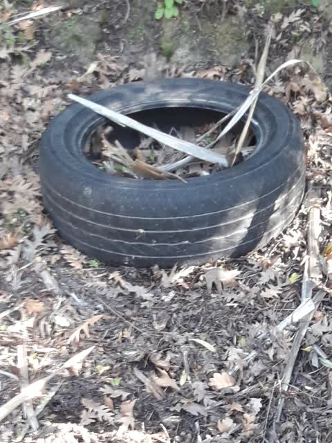 Dumped Rubbish, a report photo