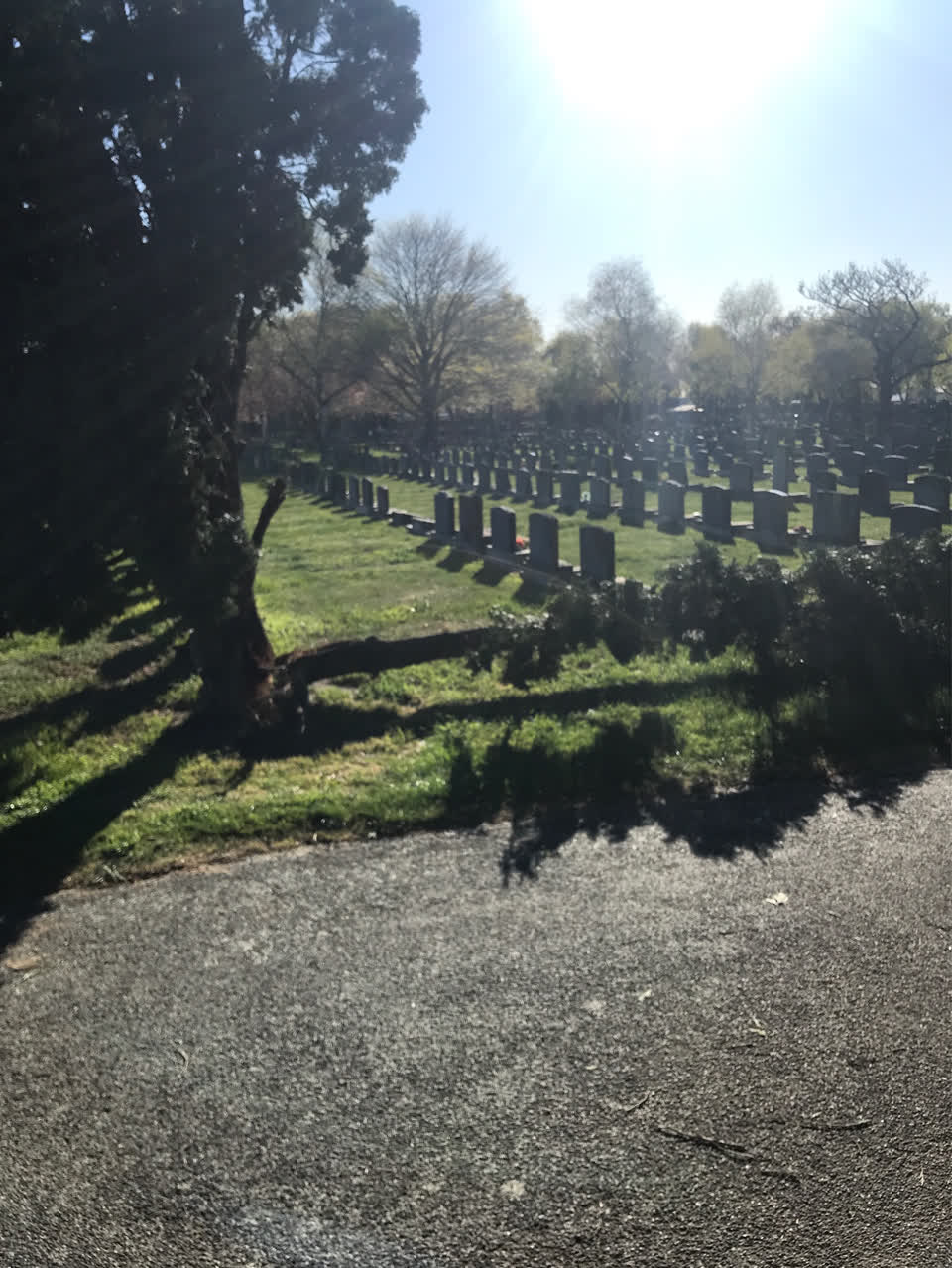 The photograph attached to this parks report