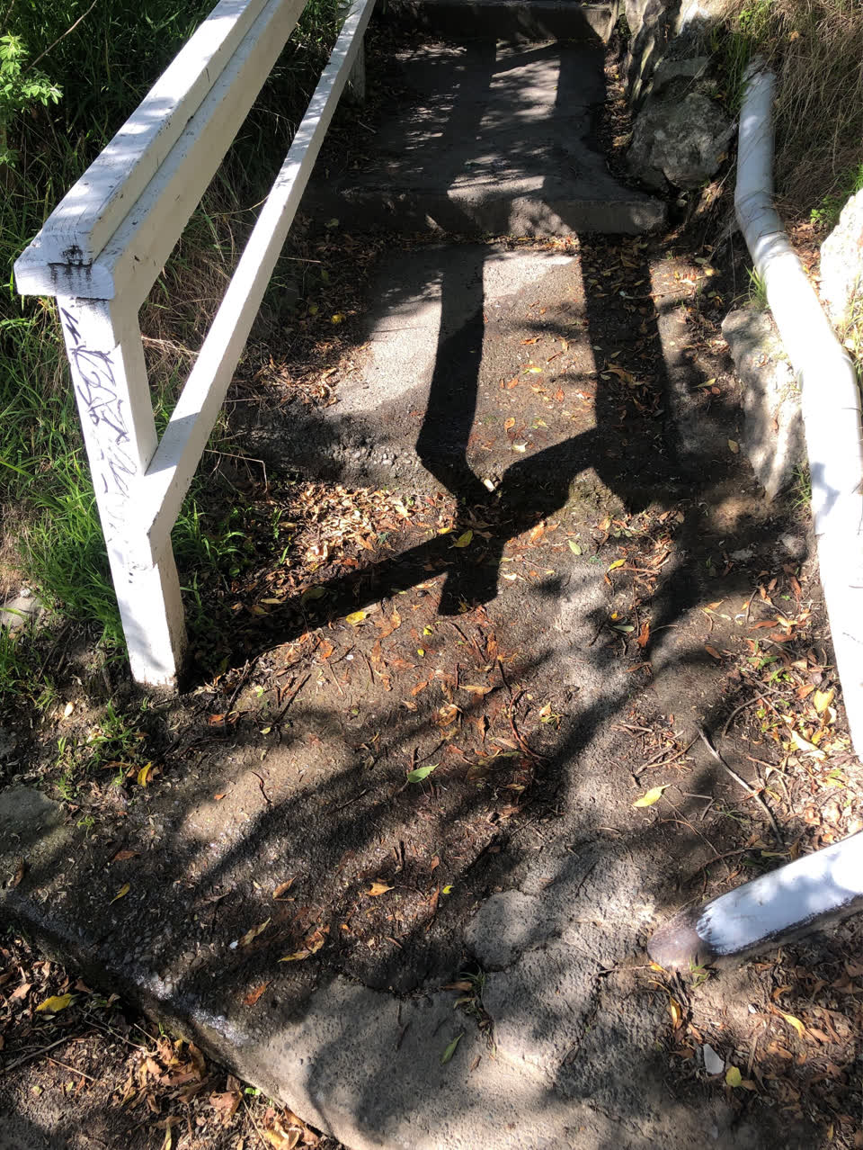 The photograph attached to this water leak report