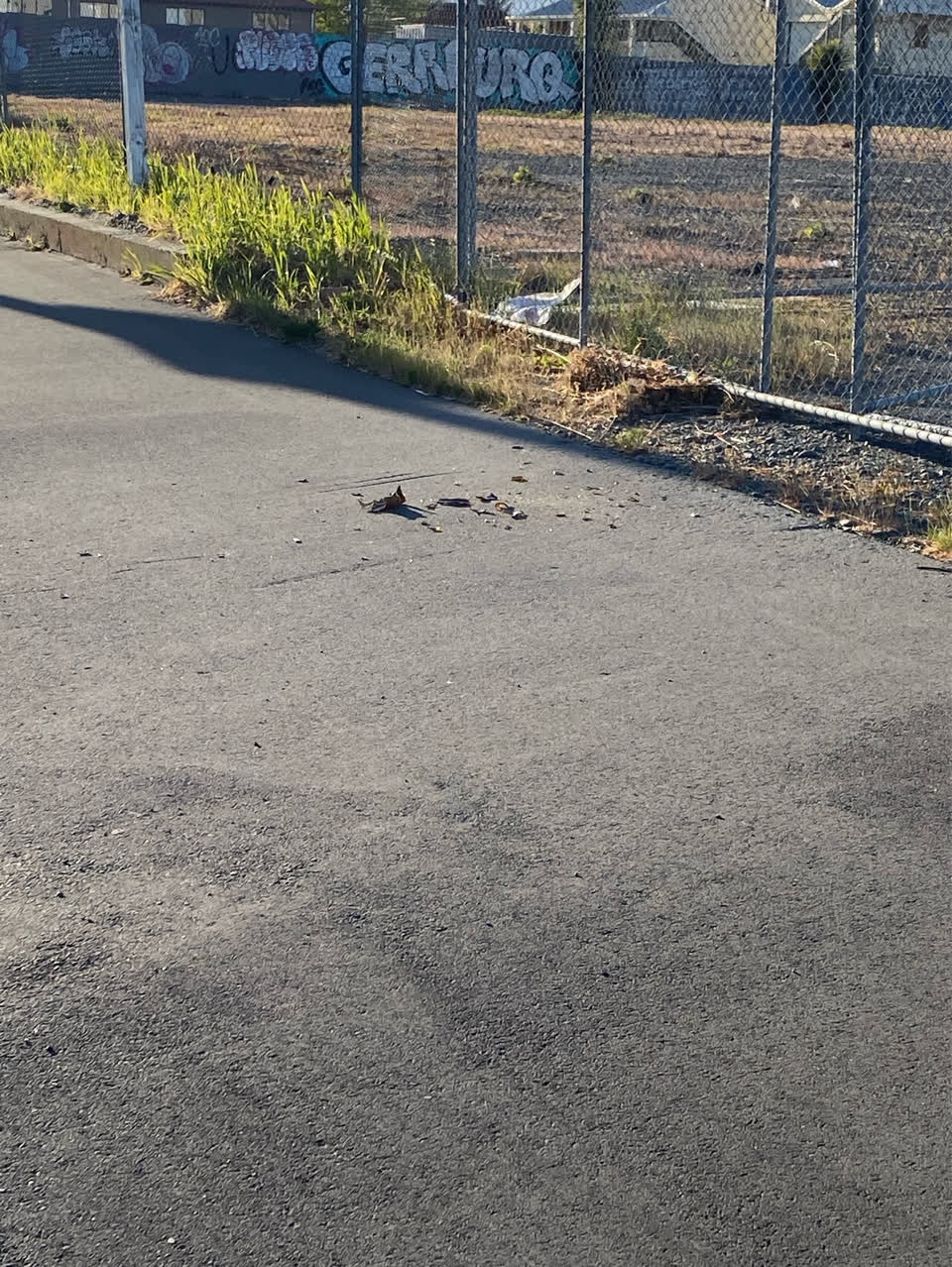 The photograph attached to this litter report