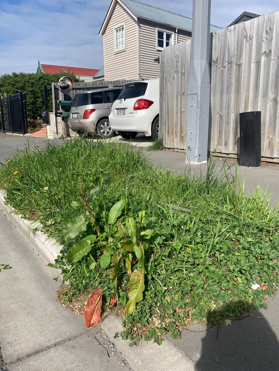 The photograph attached to this overgrown vegetation report