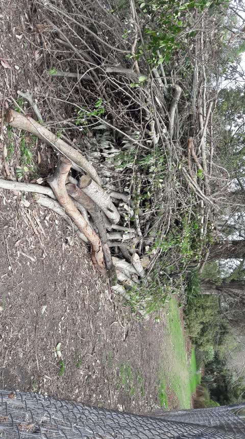 Parks, a report photo