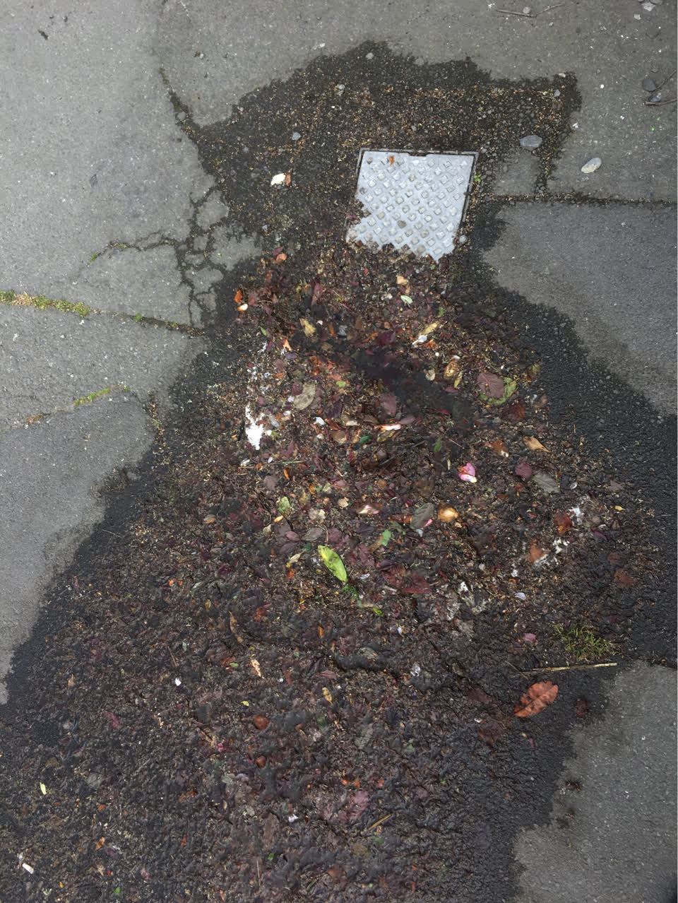 The photograph attached to this water general report