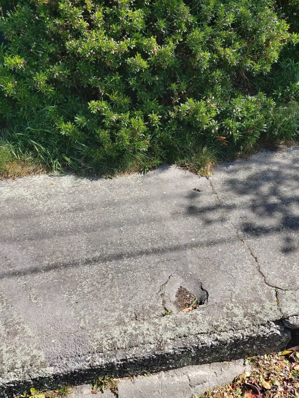 The photograph attached to this roads - general report