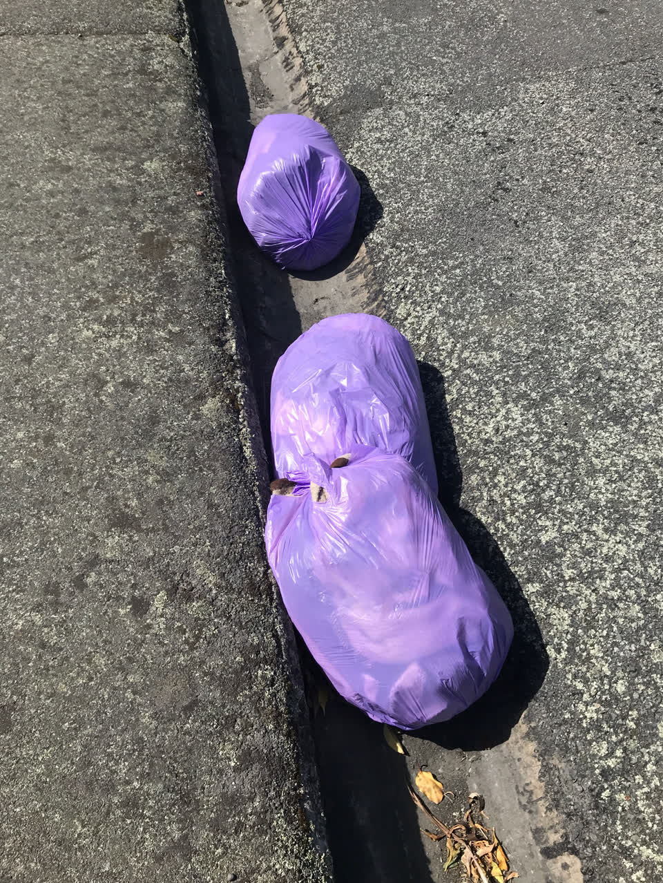 The photograph attached to this dumped rubbish report