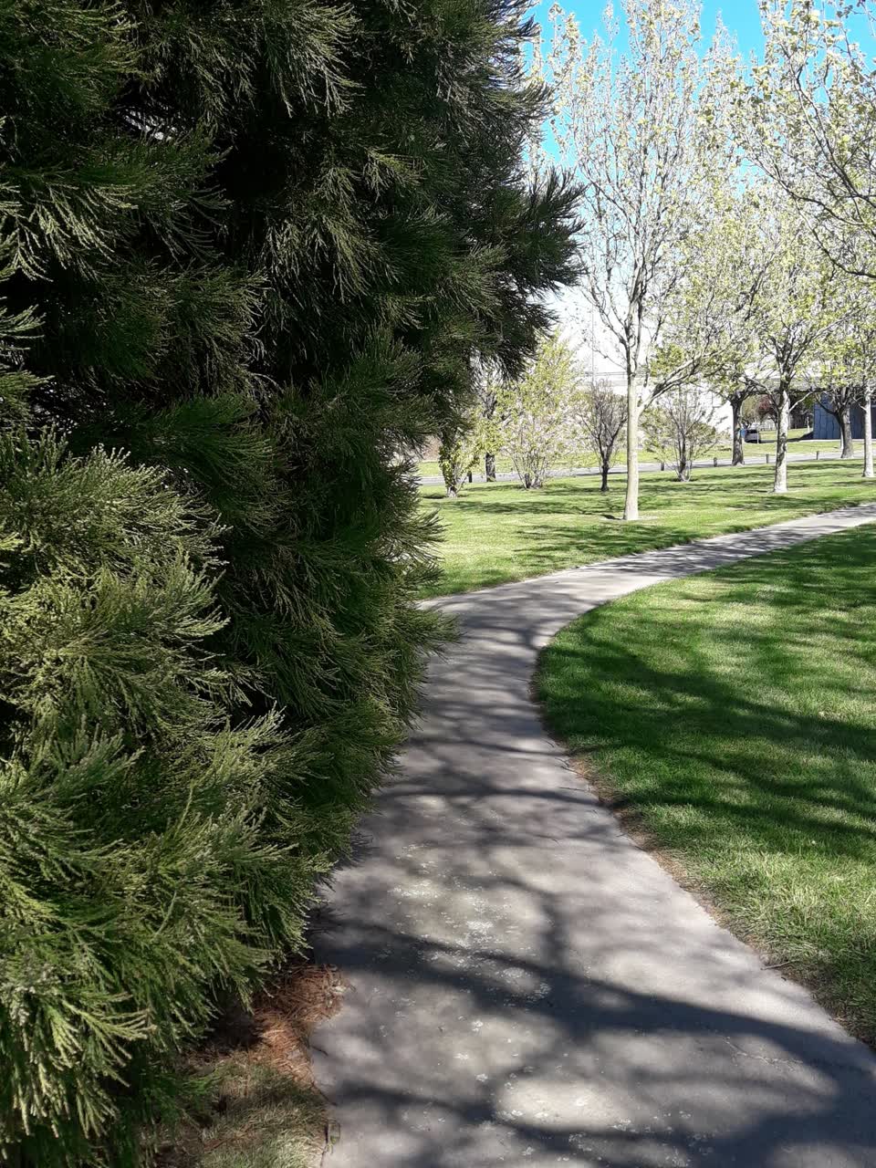 The photograph attached to this parks report