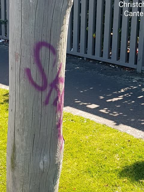 Graffiti, a report photo
