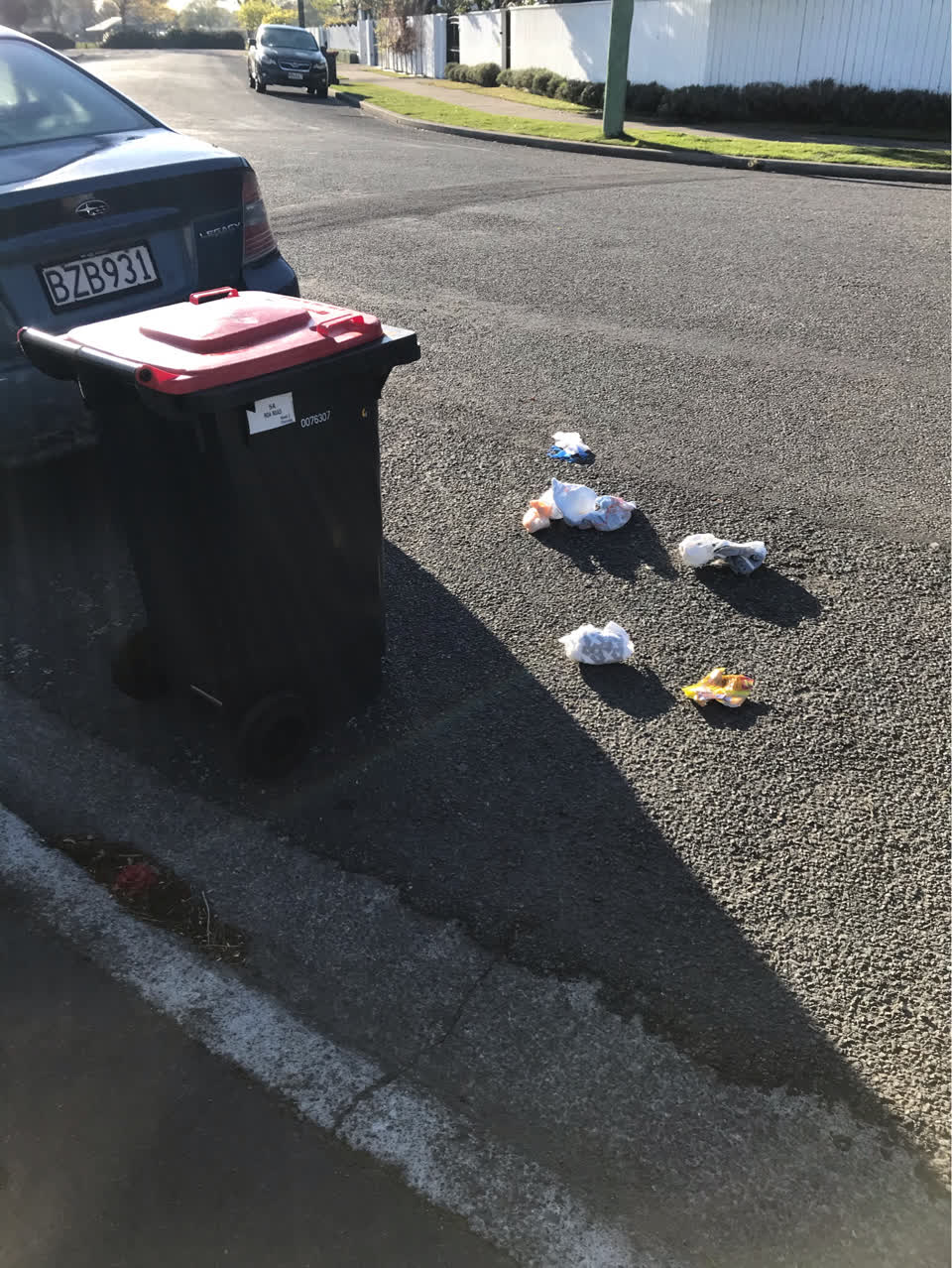 The photograph attached to this rubbish and bins - general report