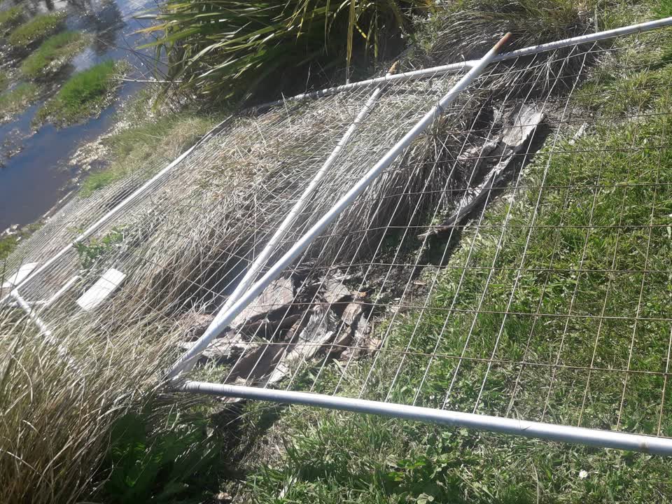 The photograph attached to this parks report