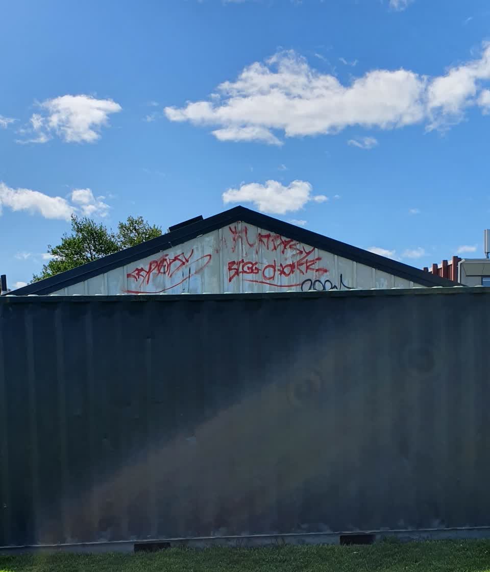 The photograph attached to this graffiti - public property report