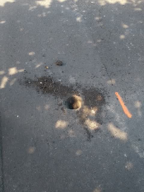 Pavement - Damaged, a report photo