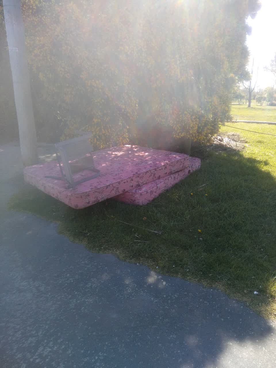 The photograph attached to this dumped rubbish report