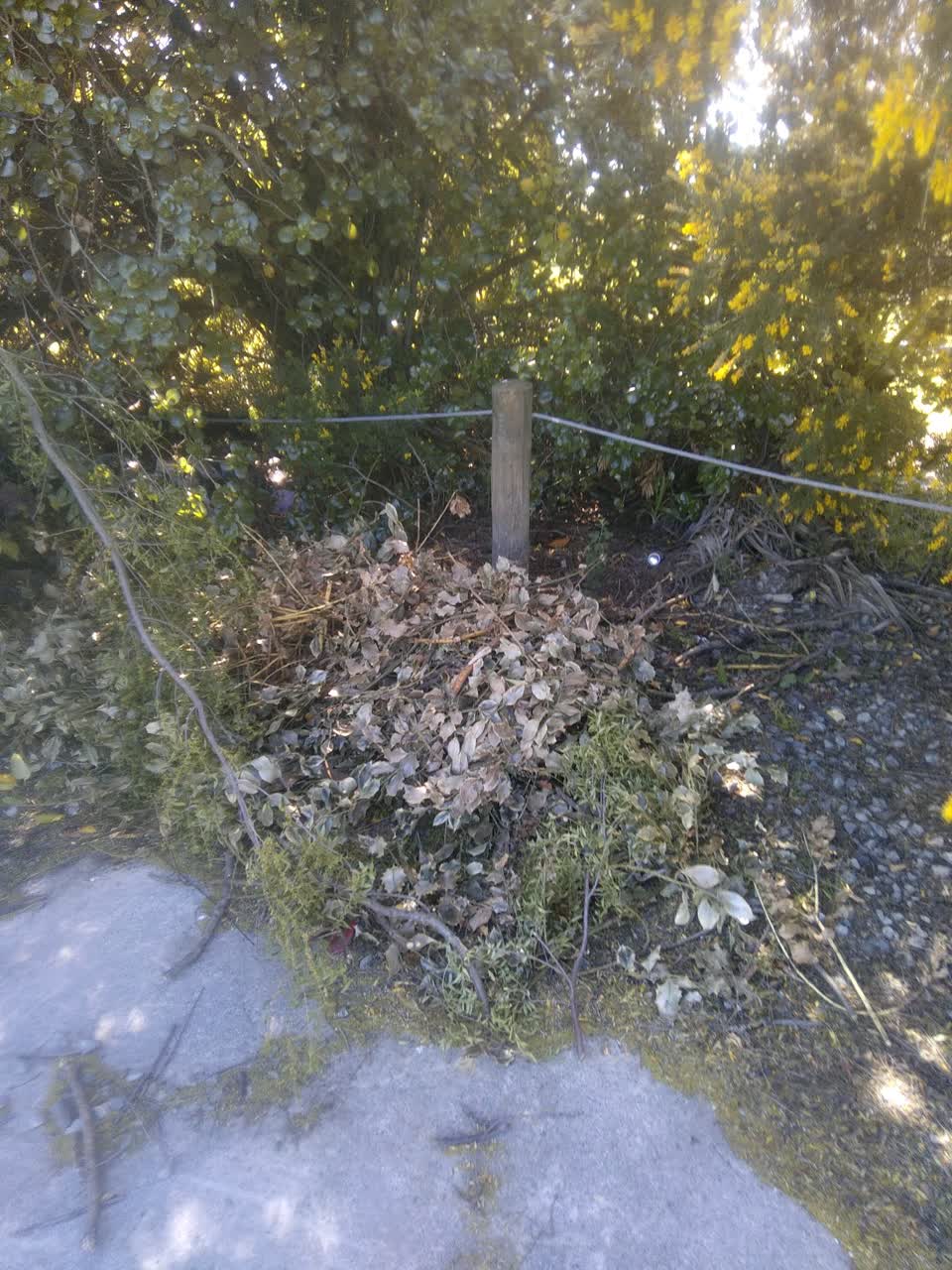 The photograph attached to this dumped rubbish report
