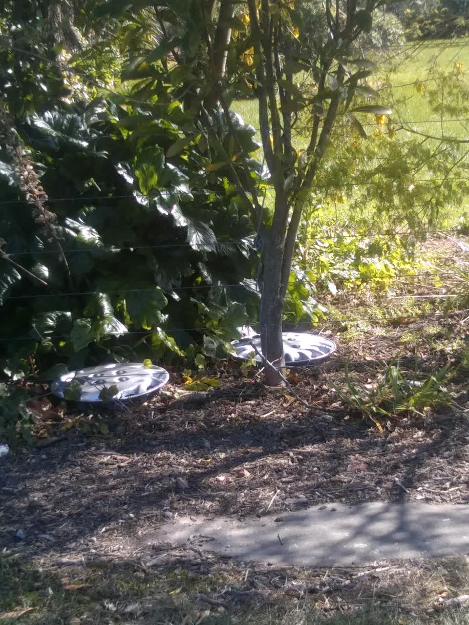 The photograph attached to this dumped rubbish report
