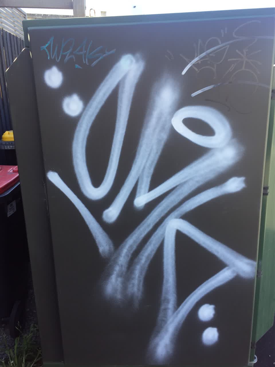 The photograph attached to this graffiti report