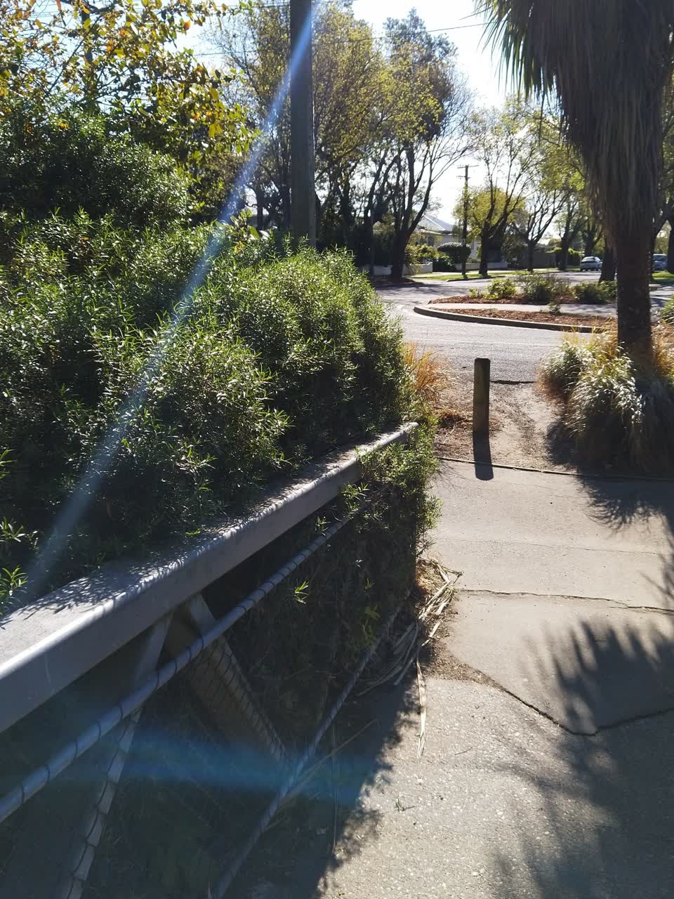 The photograph attached to this overgrown vegetation report