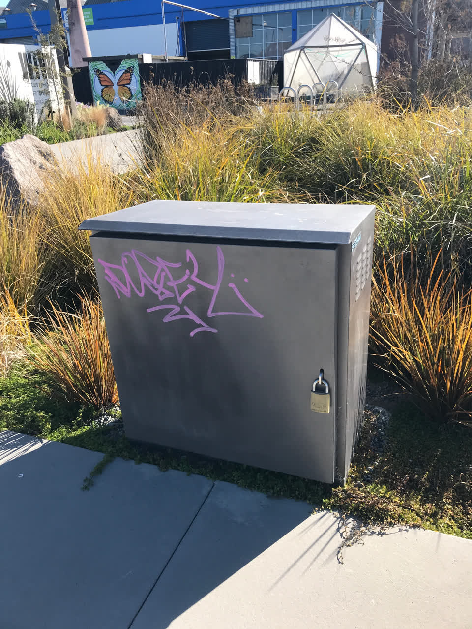 The photograph attached to this graffiti - public property report
