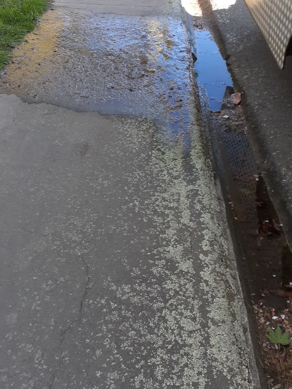 The photograph attached to this water leak report