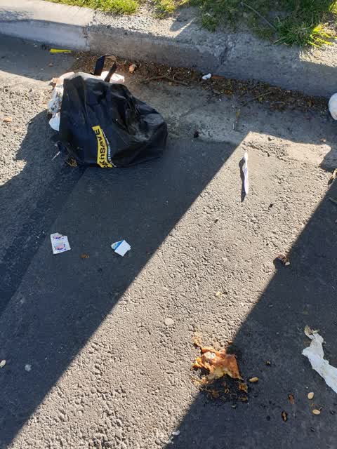 Litter, a report photo