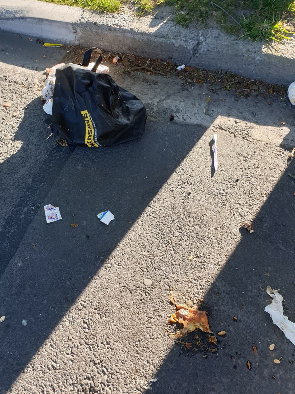 The photograph attached to this litter report