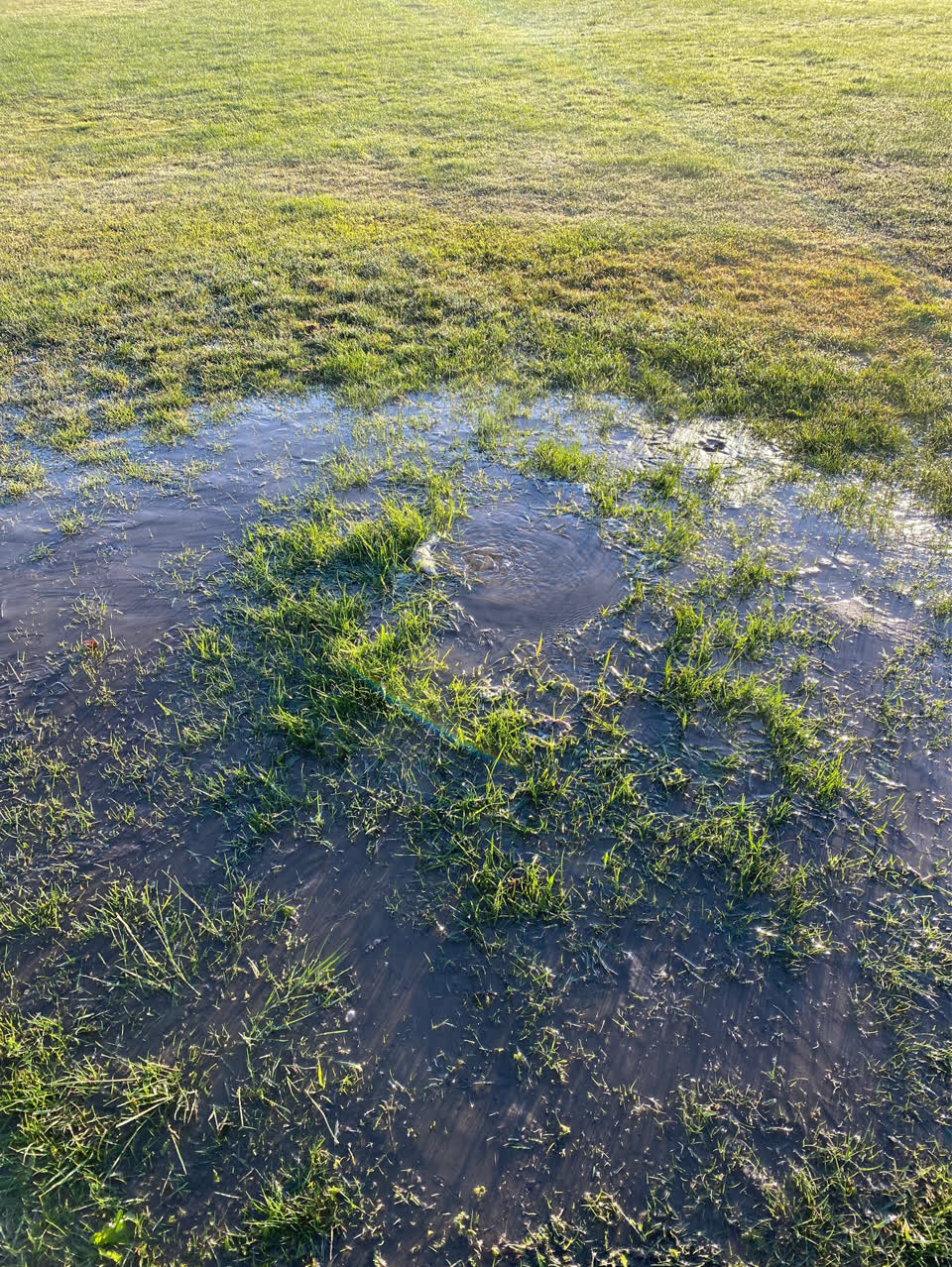 The photograph attached to this water leak report