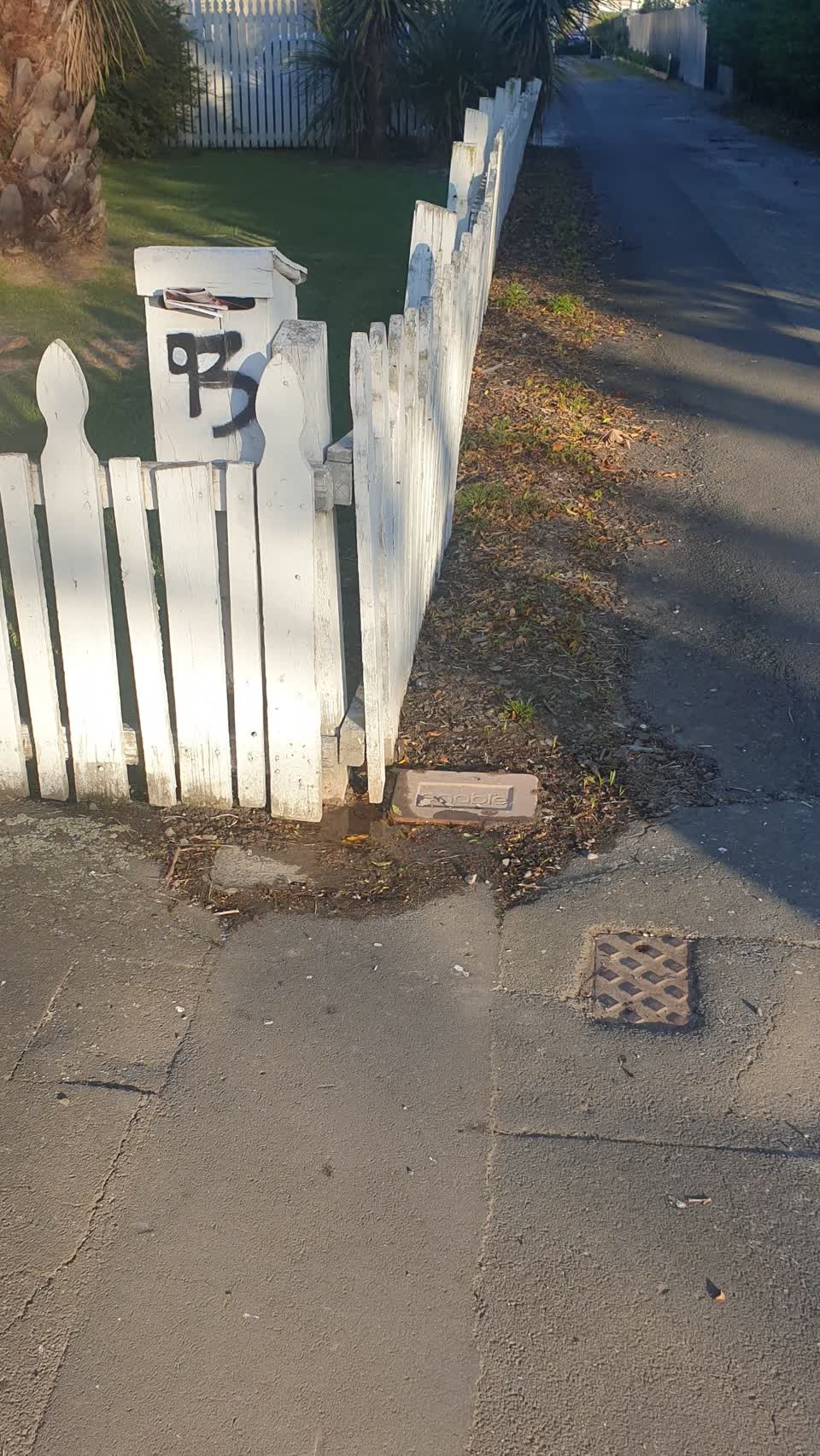 The photograph attached to this water supply report